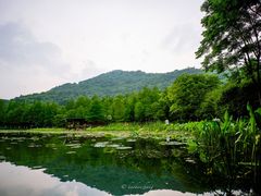 -八卦田遗址公园