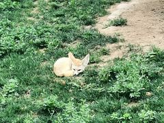 -北京野生动物园