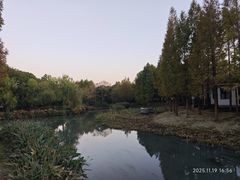 -尚贤河湿地