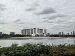 -澹台湖公园