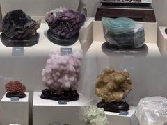 -安徽省地质博物馆