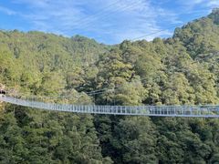 -九龙江国家森林公园