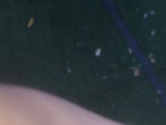 -北戴河集发农业梦想王国