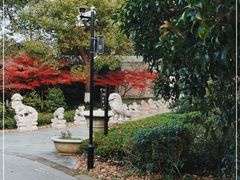 -白马涧龙池景区