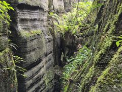 -梭布垭石林景区