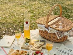 -合肥滨湖国家森林公园