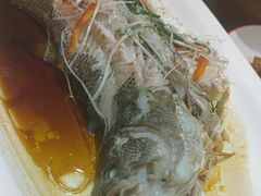 -朱记乳鸽王·非遗石岐乳鸽·全鸽宴(大兴旗舰店)