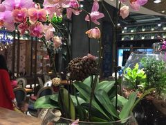 -花海牛火锅(泰合店)