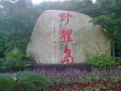 -野狸岛
