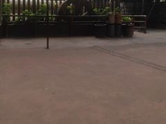 -长鹿旅游休博园