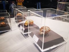 -北京周口店北京人遗址博物馆