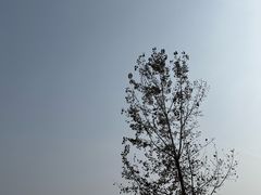 -洨河生态公园