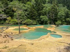 -黄龙山原始森林景区