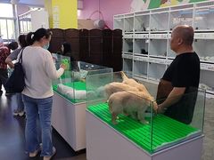 -百荣世贸商城