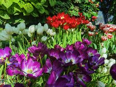 -石家庄市植物园