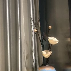 -三只熊皮肤管理中心