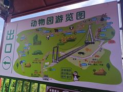 -西霞口神雕山野生动物世界