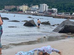 -杨梅坑