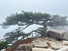 -罗田薄刀峰风景区