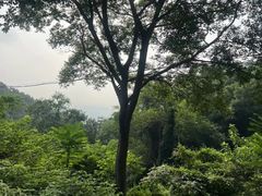 -南京市江宁方山