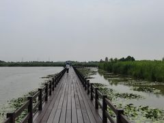 -宁波杭州湾国家湿地公园