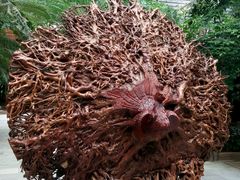 -龙达温泉生态城