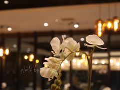 -乔治莫兰迪酒店(济南解放路山东大学店)