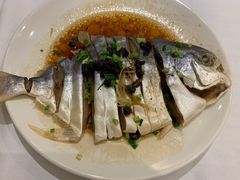 豆豉姜丝蒸鲳鱼-稻香酒家(天河城店)