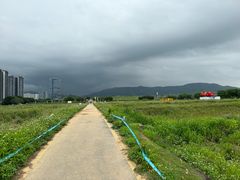 -光明小镇欢乐田园