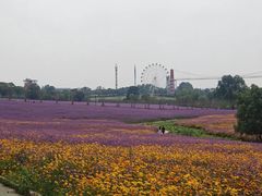 -花博汇(知音花月夜)