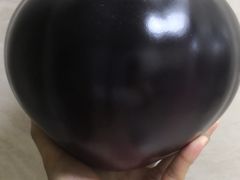 -庞各庄翠芳园西瓜蔬菜基地采摘园