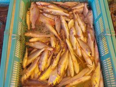 -海儀美食楼(湾仔海鲜街店)