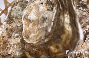 Bamboo Basket Fresh Oyster Supreme