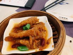 -点都德·毕德寮