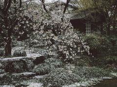 -中国茶叶博物馆(双峰馆区)