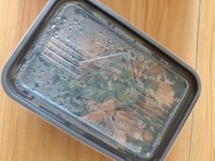 -乔阿马·江南味·驴肉香(龙湖华泾天街店)