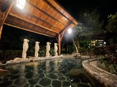 -明月山天沐温泉度假村