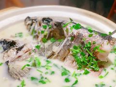 -丹江渔村(望京店)