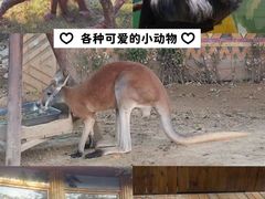 -郑州银基国际旅游度假区