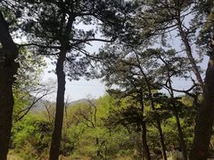 -阳台山自然风景区