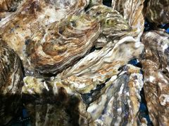 生蚝-蓝珊甄选海鲜自助·火锅大排档(近阿那亚店)