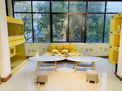 -翊宠yipet猫狗购宠庄园犬舍•猫舍