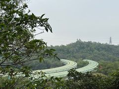 -深圳仙湖植物园