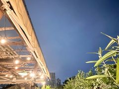 -普朗姆生蚝吧(原建国路店)