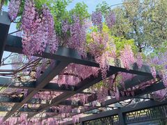 -北京市劳动人民文化宫(太庙)