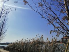 -三垟湿地
