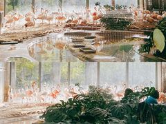 -北京动物园