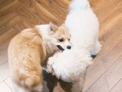 -NRG 健身私教CLUB(云山路店)