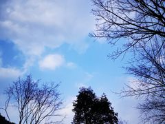 -午潮山国家森林公园