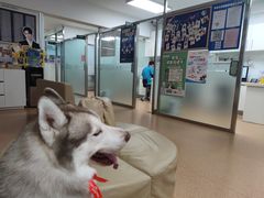 -宠颐生中康贝怡动物医院